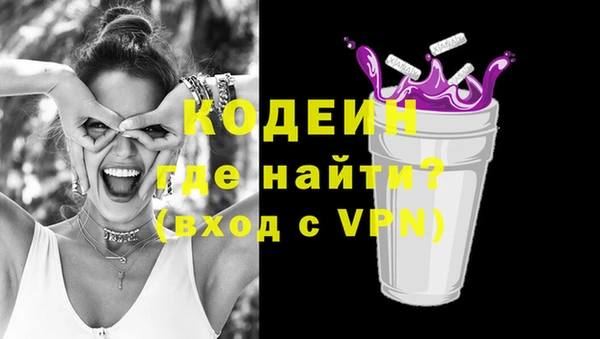 твердый Козельск