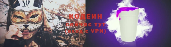 твердый Козельск