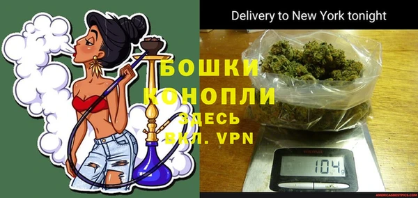твердый Козельск