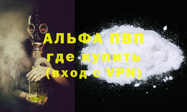 прущие грибы Кодинск