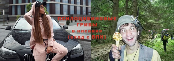 винт Козловка