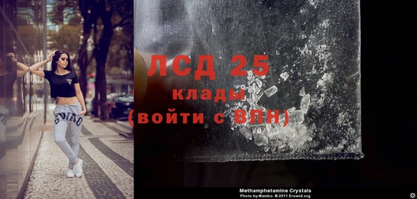 прущие грибы Кодинск