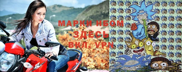 твердый Козельск