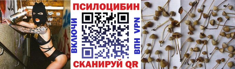 Купить закладки  Бузулук  Псилоцибиновые грибы прущие грибы 